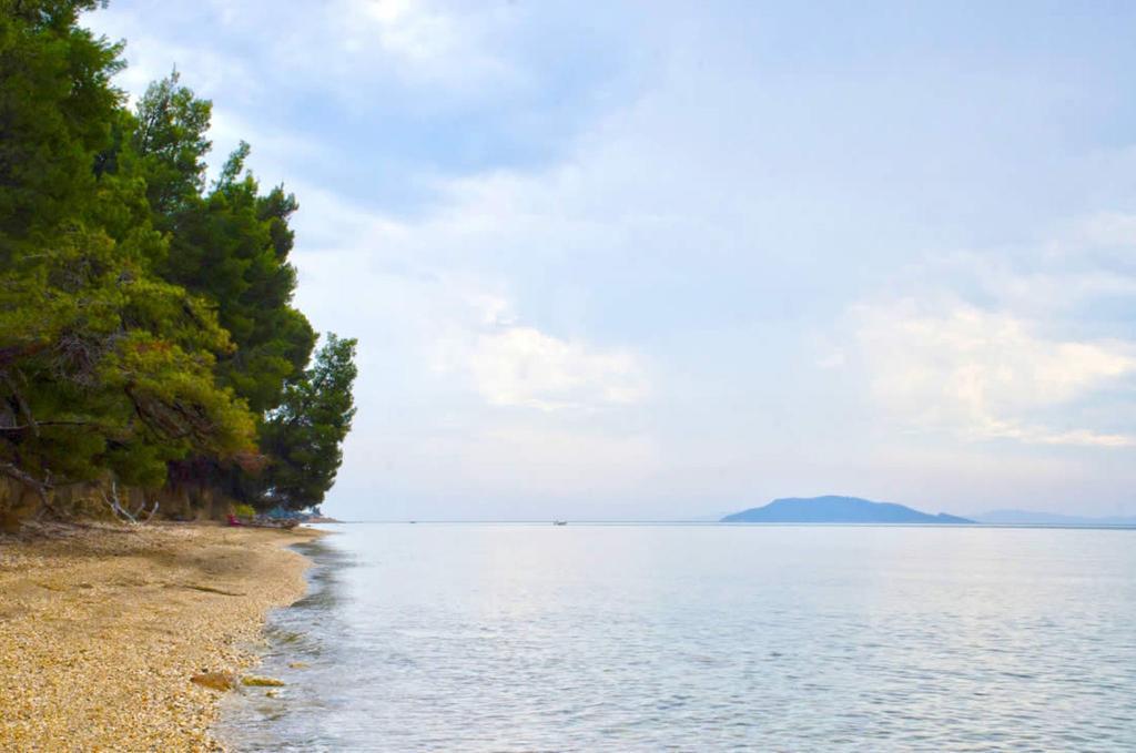 Elia Apartments Sithonia 외부 사진